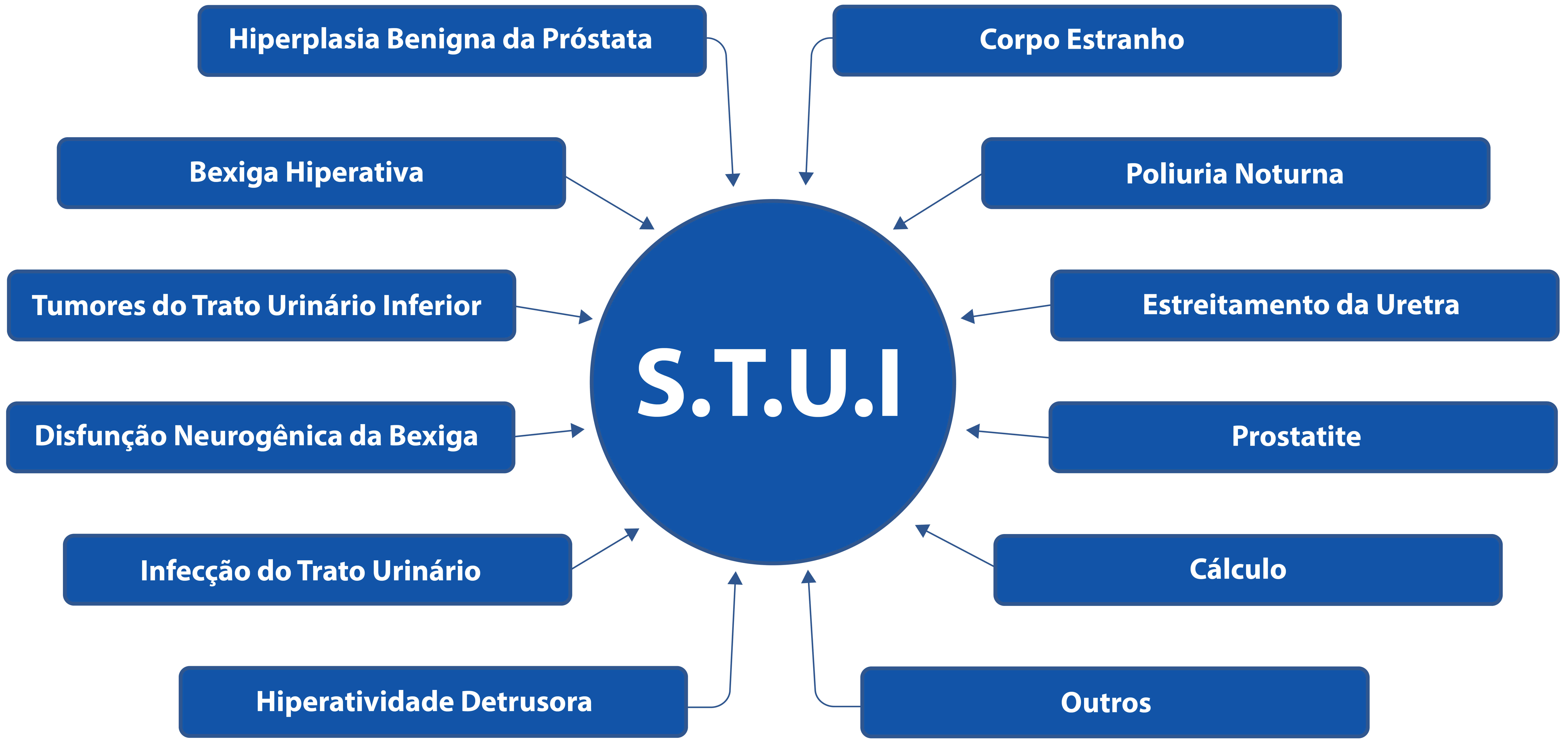 Principais causas de sintomas do trato urinário inferior